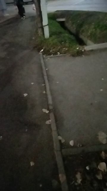 Таможенный Союз .mp4 смотреть онлайн