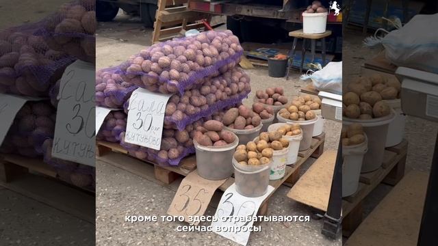 Рейды по пресечению незаконной торговли на улицах города смотреть онлайн