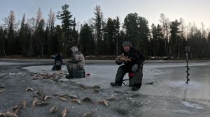 Там по до льдом воды нету одни окуня. Окунёвый рай.