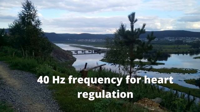 Регуляция Деятельности Сердца Частотой Райфа 40 Гц смотреть онлайн