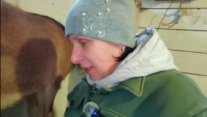 Только порадовались и на тебе!