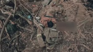 Живых нет получается