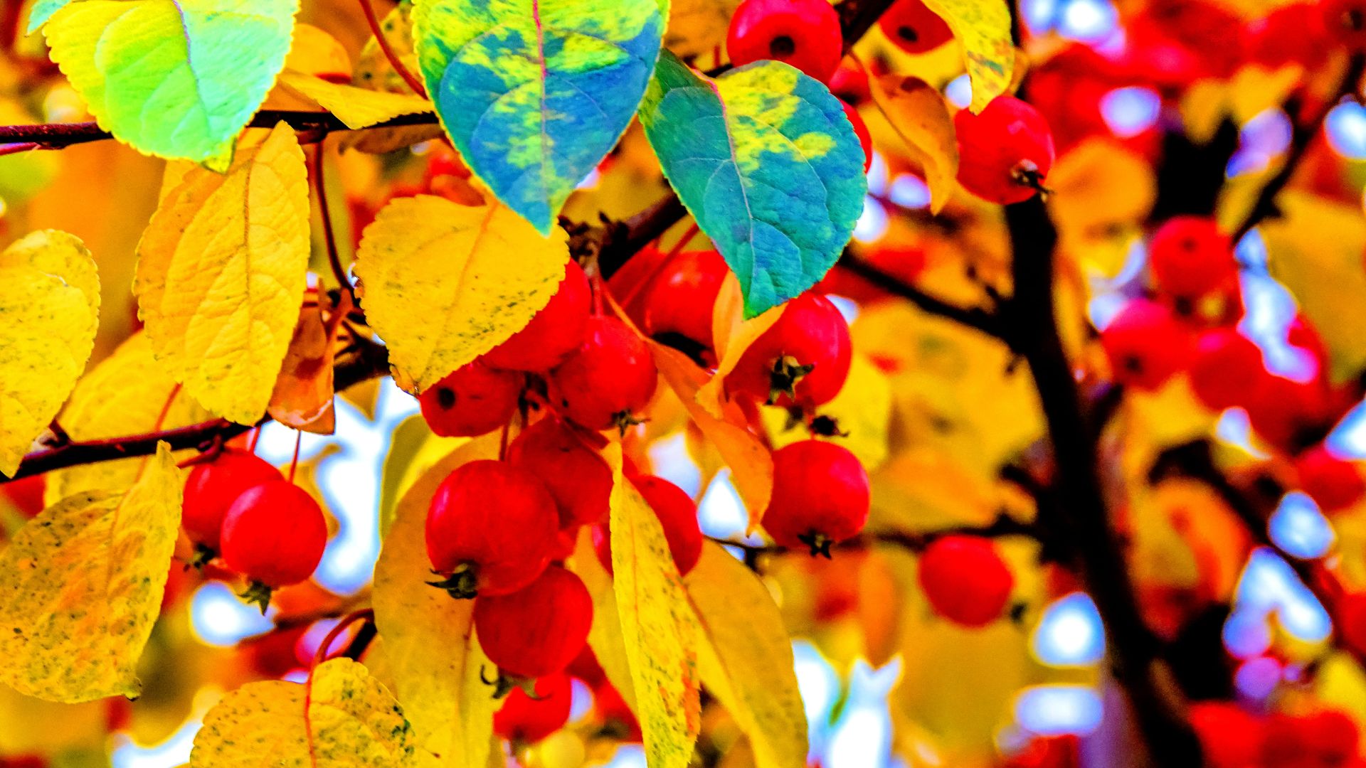 МОСКОВСКИЙ ФОТООКТЯБРЬ 2025. ВСЕМ ДОБРОГО ВЕЧЕРА!!! смотреть онлайн