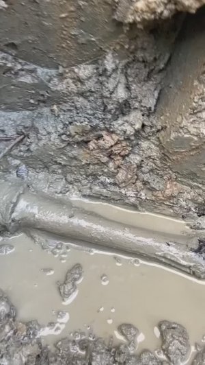 Немецкая граната в идеальном состоянии на дне блиндажа! #digging #ww2 #shortsvideo #shortsrutube