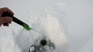 Хариус в феврале.Обеденный выход хариуса.Рыбалка одной лунки.