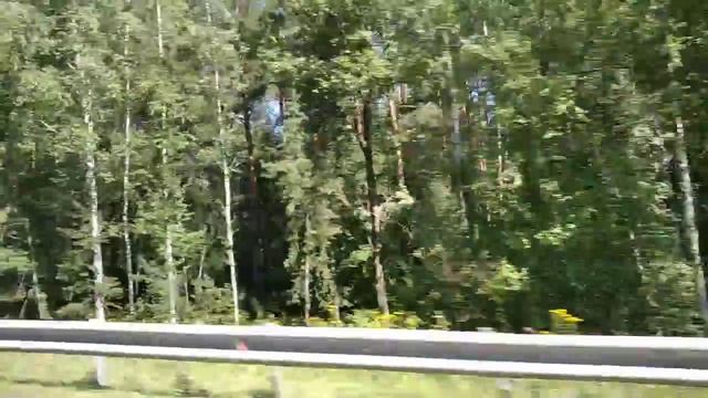 На большой скорости. Первый раз, но если доверяешь водителю. Так быстро мелькают пейзажи смотреть онлайн