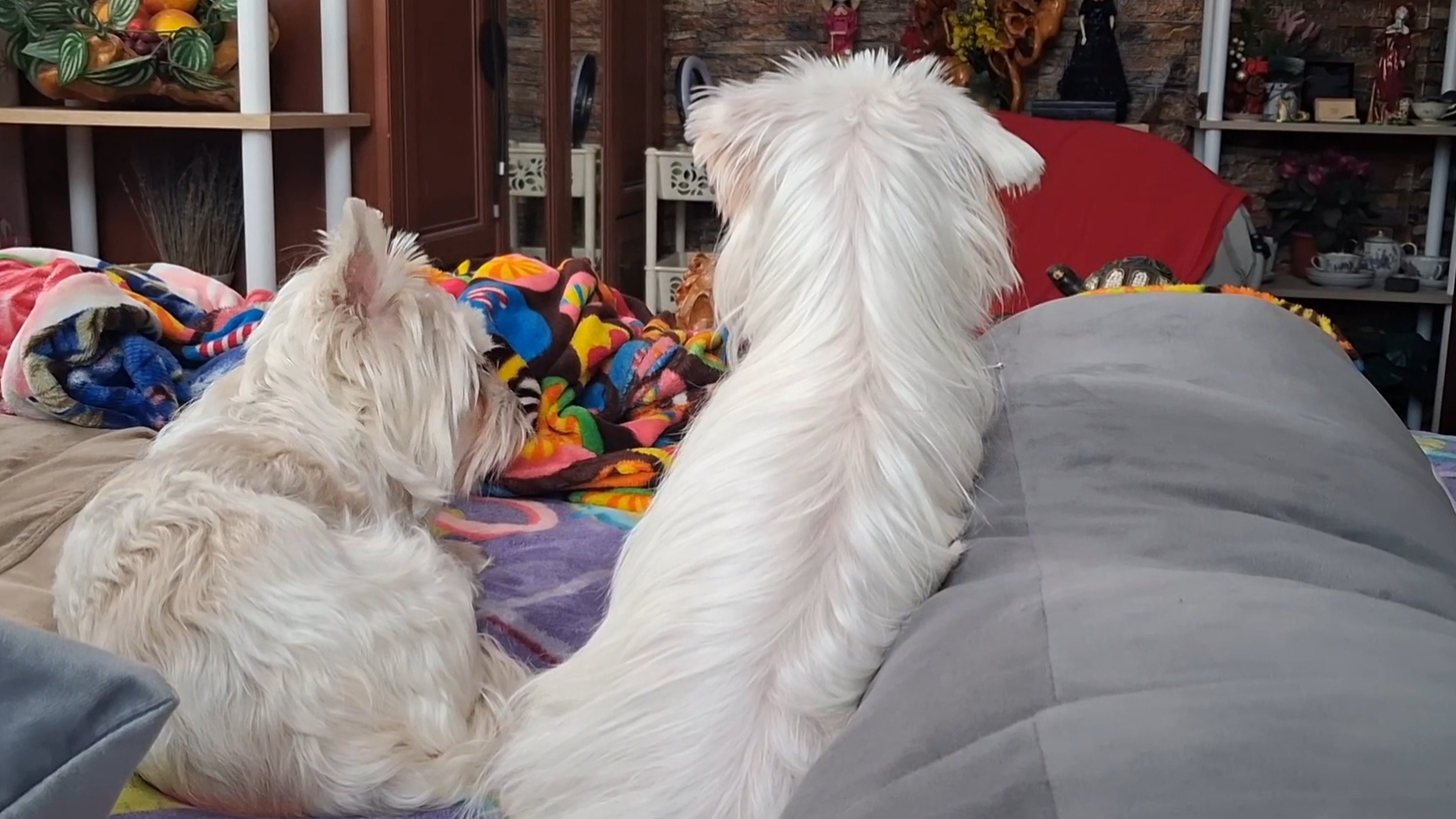 Мы с Тамарой ходим парой... смотреть онлайн