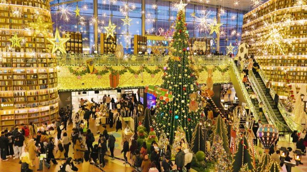 역대급 크리스마스 트리에 외국인들의 탄성! 코엑스 별마당 도서관 크리스마스 장식, 서울여행워커.