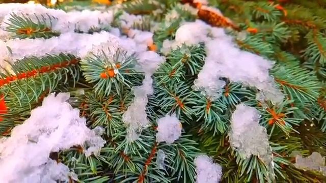 Получив на телефон фото любовницы мужа, она не поверила, но позже... смотреть онлайн