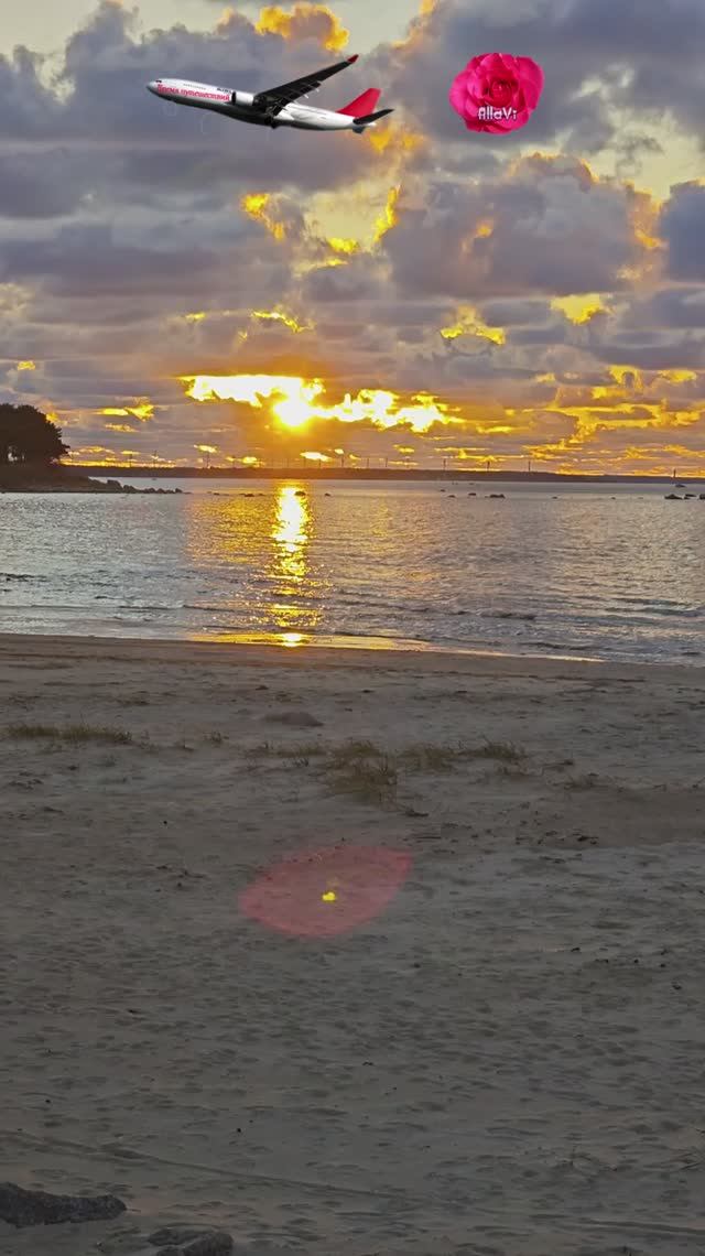 Красный цветок – эффект камеры от солнечного света? смотреть онлайн