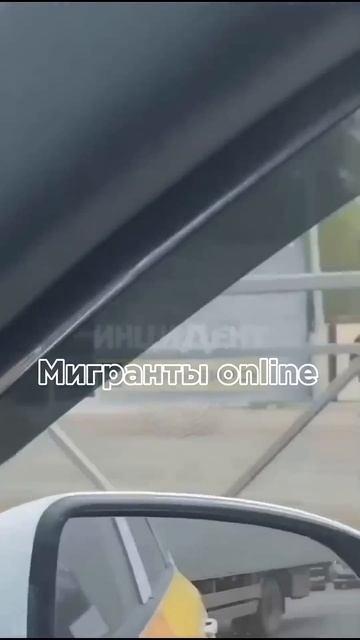Учатся ходить гуськом смотреть онлайн