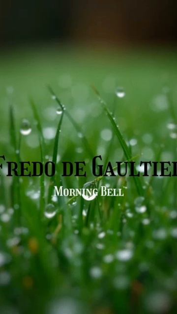 Fredo de Gaultier - Morning Bell(Pt.1) #ambientmusic #meditationmusic #ambient #nature #chillambient смотреть онлайн
