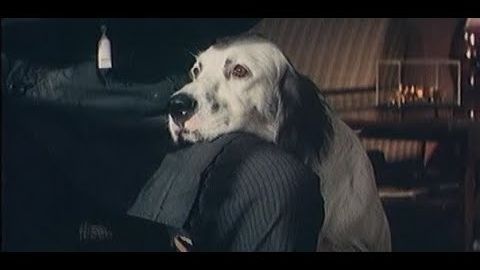 х_ф_ Белый Бим Черное ухо__муз.Андрей Петров _Баллада_ смотреть онлайн