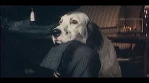 х_ф_ Белый Бим Черное ухо__муз.Андрей Петров _Баллада_