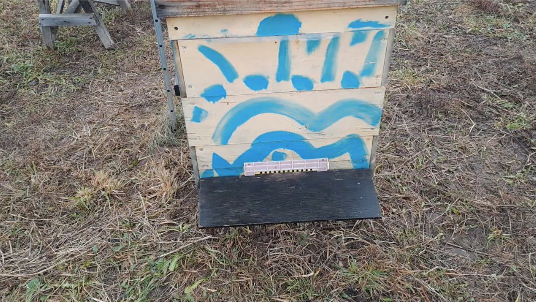 Защита летков от ветра, снега и ледяного дождя смотреть онлайн