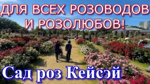 ЭТО НАДО ВИДЕТЬ! Японский розарий Кейсэй