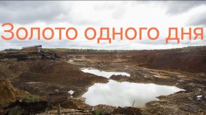 ЗОЛОТО ОДНОГО ДНЯ (ГОЛДЕН КАНАЛ АВТОР)