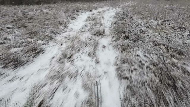 Страшная история на охоте с гончей смотреть онлайн