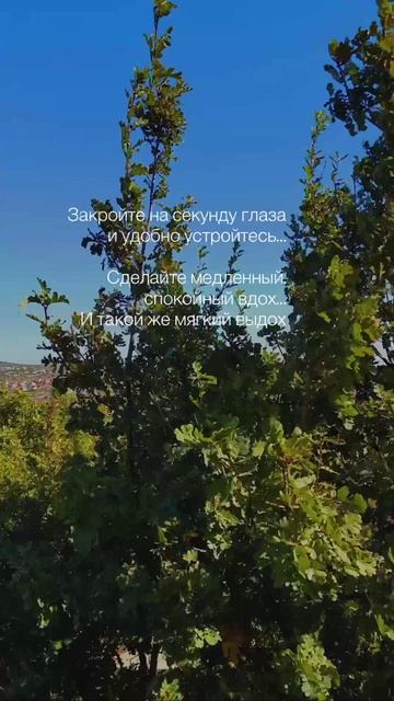 Видео от МОНС 4* COTTAGE