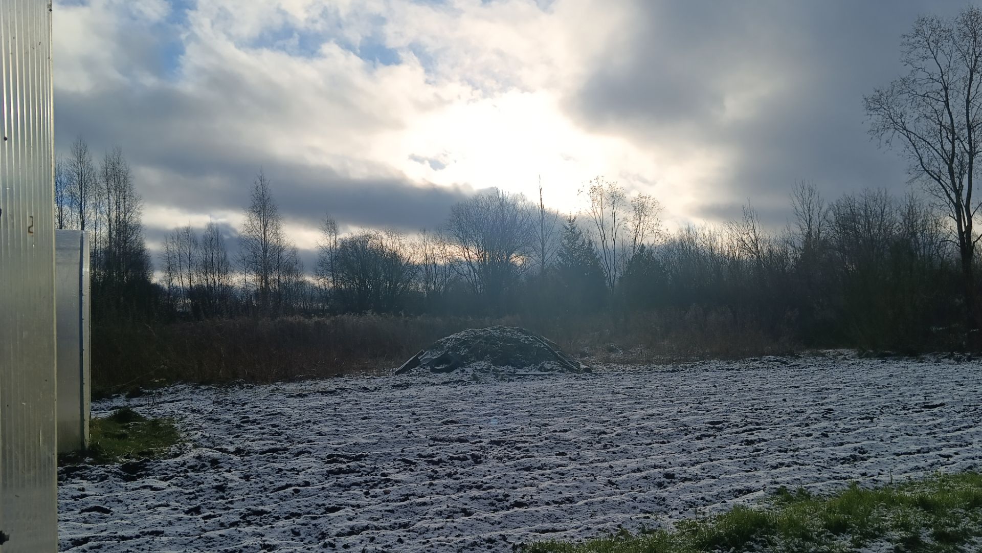 выпал долгожданный снег - гуляем с собакой смотреть онлайн