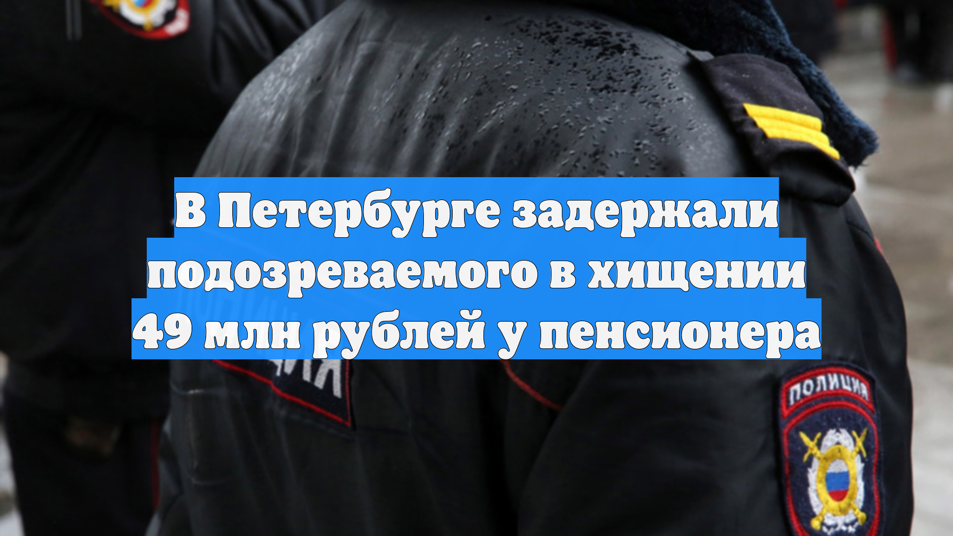 В Петербурге задержали подозреваемого в хищении 49 млн рублей у пенсионера