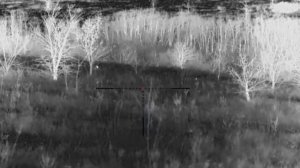 Шесть результативных вечеров охоты Александра на шакала в Ростовских степях.