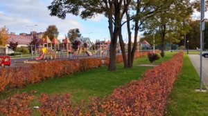 Калининградская область г.Краснознаменск 2.