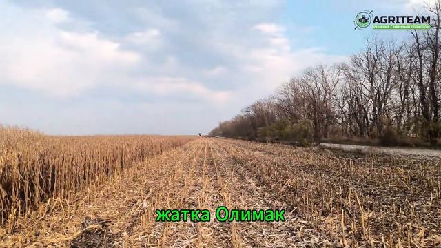 Монстр в мире кукурузных жаток – OLIMAC DRAGO GT