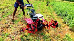 НЕОБЫЧНЫЕ МАШИНЫ, МЕХАНИЗМЫ И РЕДКАЯ ТЕХНИКА И ТЕХНОЛОГИИ СЕЛЬСКОГО ХОЗЯЙСТВА #237