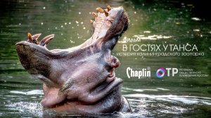 Калининградский зоопарк - «В гостях у Ганса».