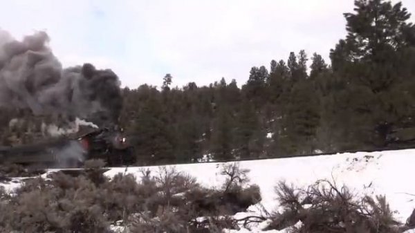 Big steam train galore