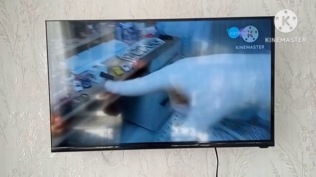 Начало мультсериала Приключения ТНТ Большой секрет телеканала Карусель смарт ТВ смотреть онлайн