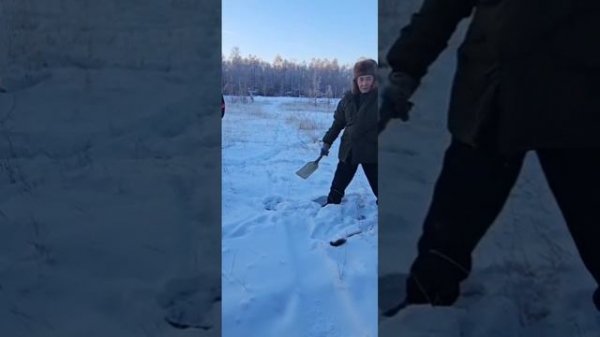 Как ставить капкан в след - мастер-класс от якутского волчатника