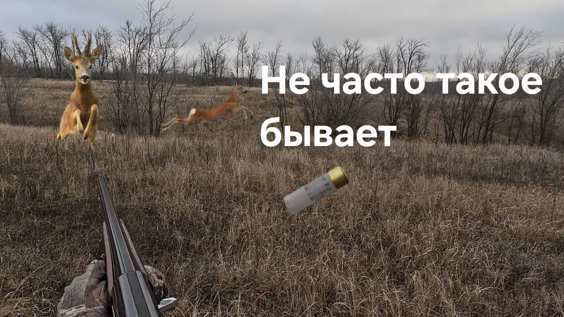 Загонная охота. Редкий случай, срезало как бритвой смотреть онлайн