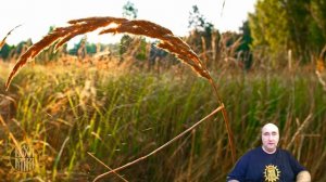 Трудности быстрых перестроений.