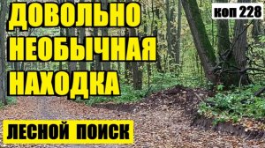 ЧЕГО ТОЛЬКО НЕТ В ЭТОМ ЛЕСУ!коп 228