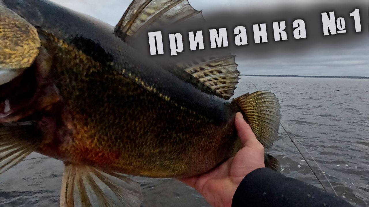 С НЕЙ, НЕ ОСТАНЕШЬСЯ БЕЗ СУДАКА!!! СУДАКИ НА Kurchik от SmolFish!!! смотреть онлайн