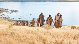 Нагорная проповедь / Заповеди блаженства / Соль и свет / Нагорная проповедь Иисуса Христа / Библия