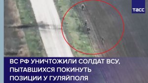 ВС РФ уничтожили солдат ВСУ, пытавшихся покинуть позиции у Гуляйполя