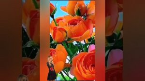 Красивая песня с благодарностью к прожитым годам