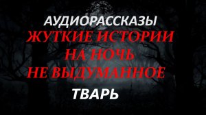 СТРАШНЫЕ РАССКАЗЫ НА НОЧЬ-ТВАРЬ