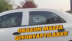 Тошкент шаҳрида мана бу каби босар-тусарини билмай юрганлар тез тез учраб турибди, кейинги вақтларда