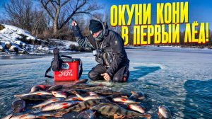 Первый лёд- 2025-2026! Я нашёл заветную лунку! Окуни рвут лески и утаскивают удочки!