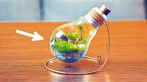 КАК СДЕЛАТЬ ВЕЧНЫЙ ТЕРРАРИУМ!