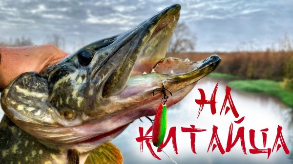 🔴Поймал Мать всех щук! Этот ручей рыбаки обходят стороной. И зря! 😱💥🔥