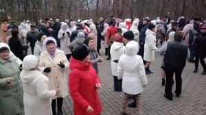 Букет из белых роз...... 16.11.25 Гомель парк Луначарского 🥰💫