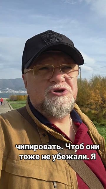 ЧИПИРОВАТЬ БОЕВИКОВ ВСУ смотреть онлайн