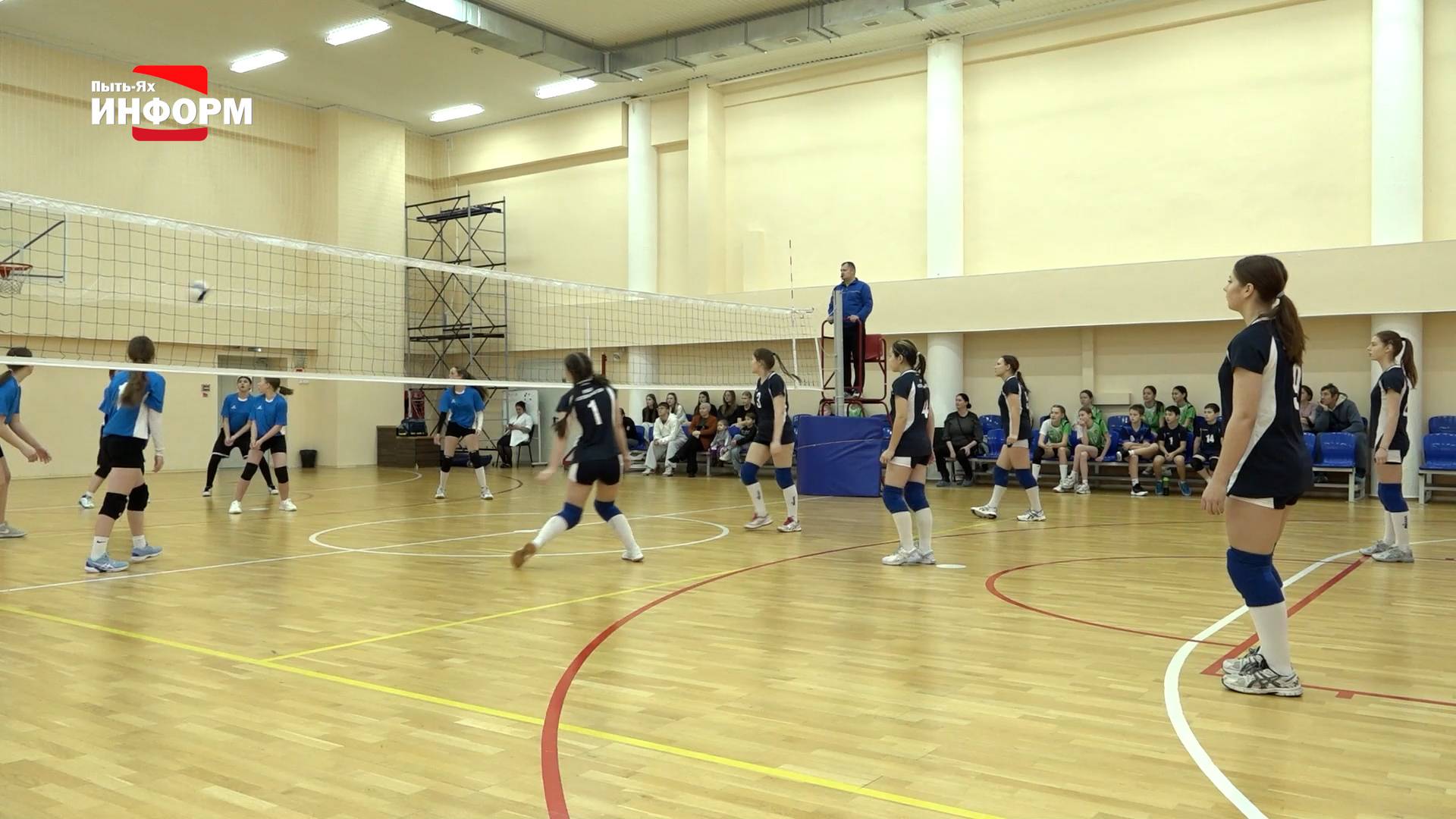 Соревнования по волейболу смотреть онлайн