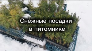 Последние обновки в этом году!