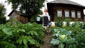 Иду в любимый огород